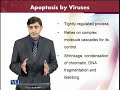BT601 Virology Lecture No 197