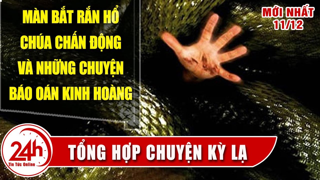 Chuyện Lạ Việt Nam Mới nhất Tay không bắt rắn chấn động MXH.Tổng hợp chuyện rắn báo oán có thật 100%
