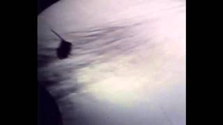 Shadowgraph Summer Experiment