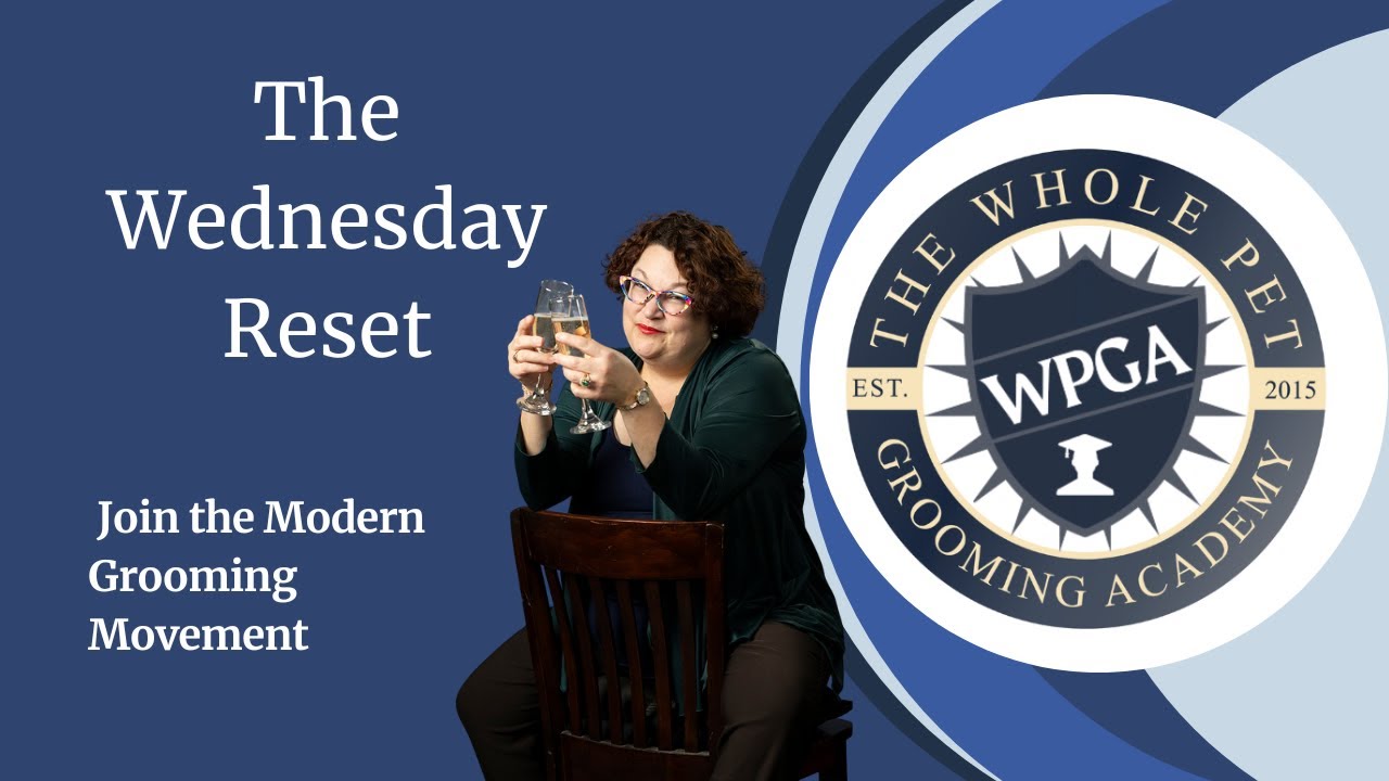 Тренируйтесь как профессионал: как владельцы салонов красоты создают системы, которые работают бе...