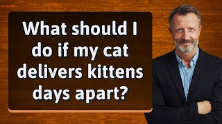 What should I do if my cat delivers kittens days apart?