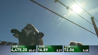 AgDay 04/17/19