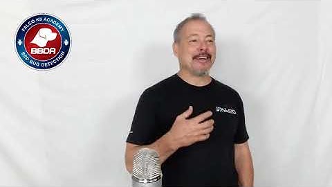 Bed Bug Dog Training on National Dog Day