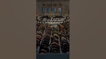 #quran #allah #prophetmuhammad سورة النمل (Surah An-Naml)