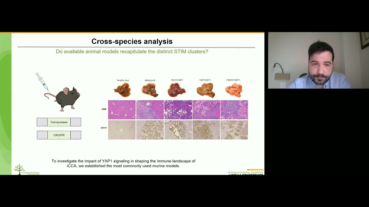 AC22 Investigating The Role Of YAP1 Signaling In Shaping Tumor Immune Landscape ICCA