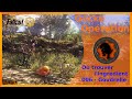 Fallout 76  o trouver lingrdient  006  goudrelletarberry