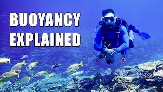 Mastering The Art of Buoyancy Control In Scuba Diving
