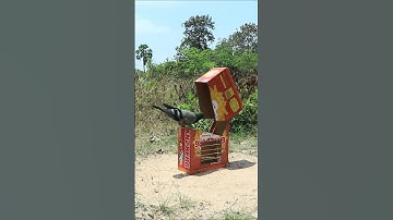 Best Bird Trap - Pigeon Bird Trap Using Paper Box #birdtrap #shorts