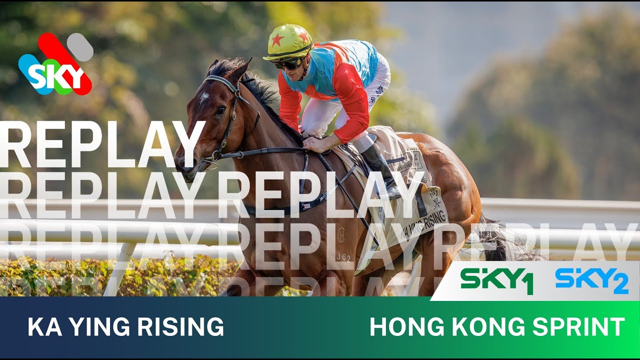 KA YING RISING ВЫИГРАЛА ГОНКОНГСКИЙ СПРИНТ G1 🏆