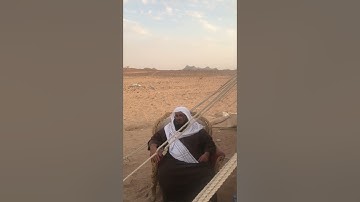 دحيم الحماد 1443هـ تلاوة من سورة الذاريات