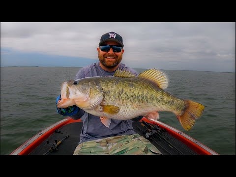 Summer Worm Fishing For Bass! How to Rig, Where To Fish, Which