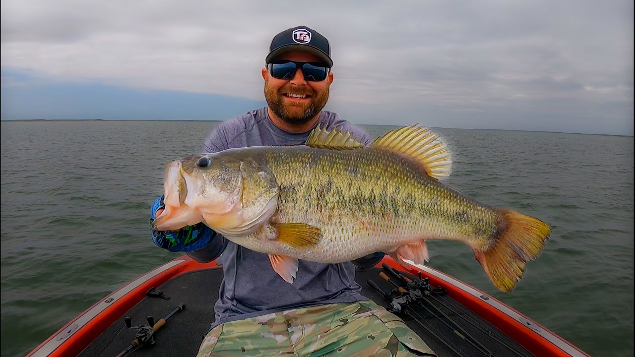 Summer Worm Fishing For Bass! How to Rig, Where To Fish, Which