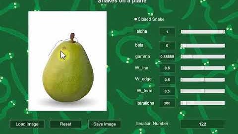 Snakes: Active Contours GUI Demo