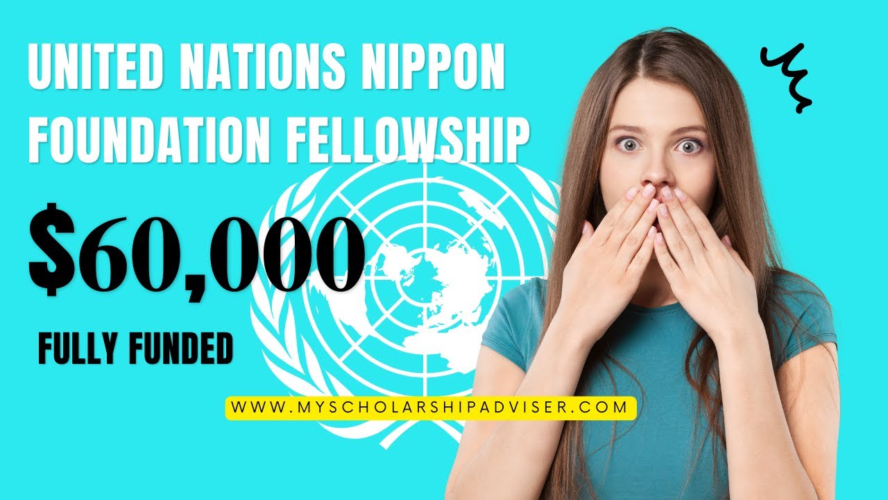 United Nations Nippon Foundation Fellowship 2023 Fully Funded | Apply Now