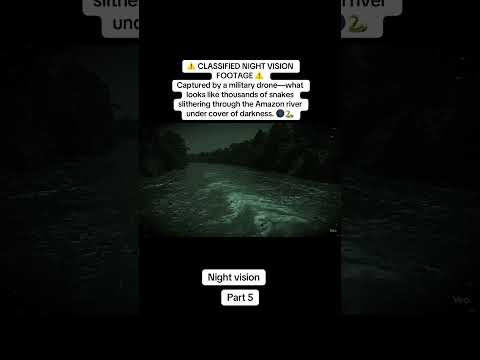 Shorts Youtubeshorts AmazonRiver AmazonRainforest AmazonWildlife Anaconda Snakeriver