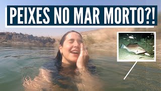THE PROPHECY IS BEING FULFILLED TODAY! Life in the Dead Sea region! (English Subtitles)