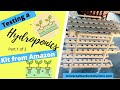 Building a Hydroponic System from DreamJoy purchased through Amazon.