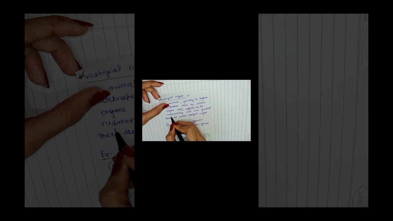 Organs You Don't Actually Need! (Vestigial Organs)