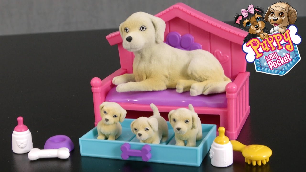 pocket puppies toys