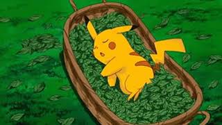 Pikachu sleeping