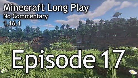 Minecraft Longplay || Episode 17: Iron Farm Building and A Glimpse of the Nether