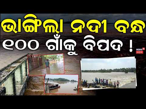 ଭାଙ୍ଗିଲା ନଦୀବନ୍ଧ  ୧୦୦ ଗାଁକୁ ବିପଦ ! Mahanadi Flood Fury in Puri | Gabakunda Nuanai River | Flood News