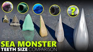 Monster Teeth 🦷 Size Comparison | BLOOP VS SEA EATER Vs EL GRAN MAJA