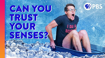 Why You Can’t Smell Yourself (and Other Ways Your Senses Lie to You)