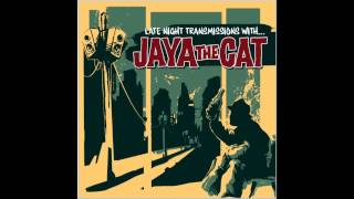 Jaya the Cat - Government Center