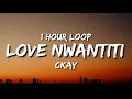 CKay - Love Nwantiti 1 Hour Loop TikTok Remix | i am so obsessed i want to chop your nkwobi
