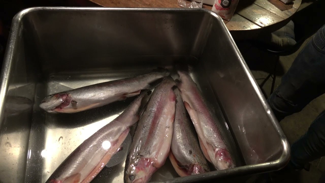 Verlichte Trekkers, Twentse Rakkers 2025