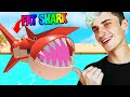 I became FATTEST SHARK with 5x EVERYTHING 🦈 (Roblox)