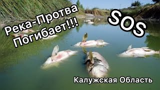 ЭКОЛОГИЧЕСКАЯ КАТАСТРОФА НА РЕКЕ ПРОТВА!!!#обнинск#калужскаяобласть#река#протва ЭКОЛОГИЧЕСКАЯ КАТАСТРОФА НА РЕКЕ ПРОТВА!!!#обнинск#калужскаяобласть#река#протва
