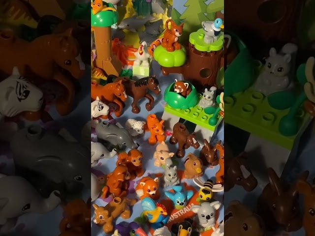 More duplo Animals of the world #animals