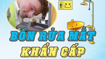 Bồn Rửa Mắt Khẩn Cấp | Thiết Bị Rửa Mắt Khẩn Cấp | Garan.vn