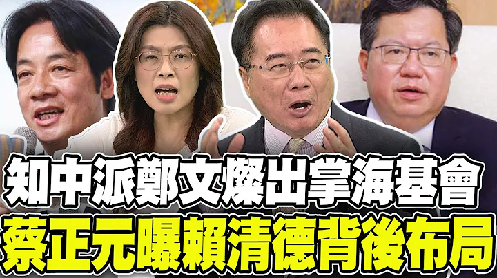 知中派郑文灿掌海基会 蔡正元嗅到赖清德背后布局 郑丽文:解铃还须系铃人 - 天天要闻