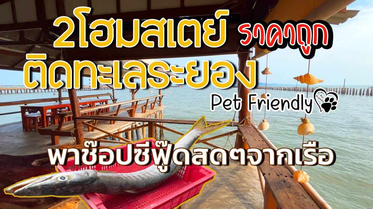 พักติดทะเลระยอง ไปกี่คนก็เหมาส่วนตัวได้     I ตลาดอาหารทะเลพื้นบ้าน I @Fin A Dii Channel