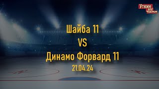 Шайба 11 - Динамо Форвард 11, 21.04.24