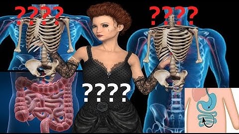 Mandela Effect: Human Anatomy Changes