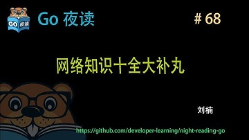 #68 网络知识十全大补丸 【 Go 夜读 】