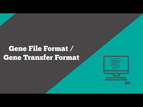 Bioinformatics: Gene file format | What is a GFF file? | File Firmat | BioCode Ltd
