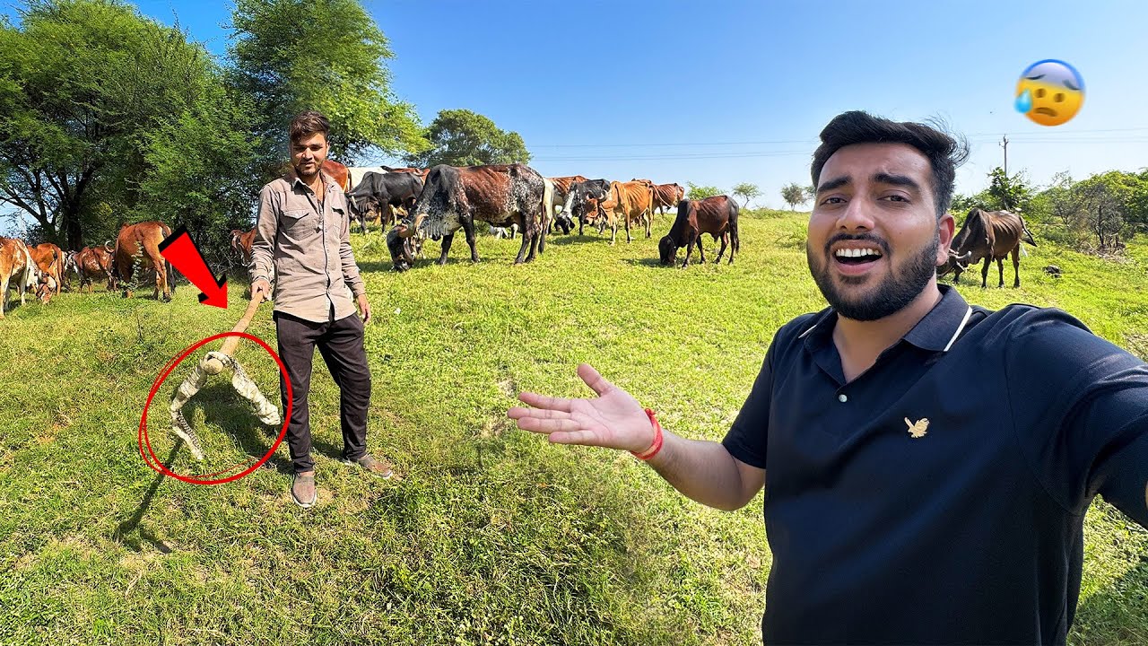 Ye Aaj Kya Dekh Liya🐍Bheem Bull Ka Gussa ?