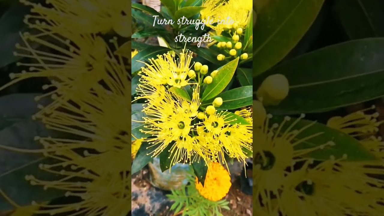 Turn the struggle into strength. 