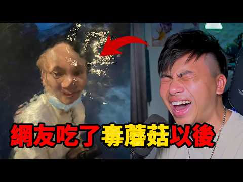 「梗文梗圖系列45集」三度笑得最累的一集,網友分享的毒蘑菇體驗太誇張!