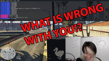 Kitty Makes Jae Quit GTA RP