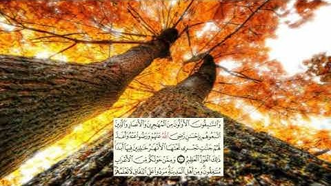 صفحة-203 page سعد الغامدي - -سورة التوبة -09--Le repentir (At-Tawbah) )