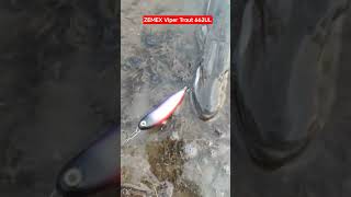 Ловля на ультралайт щук  доставляет большое удовольствие. #fishing #рыбалканаозере  #озеро #щука