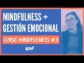 Mindfulness y Gestión Emocional: Curso Práctico de Mindfulness #3