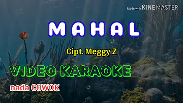 🔵 Mahal-Maggi Z-video karaoke