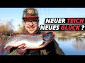 Neuer Teich - Neues Glück? | Lachsforellen bei Angelteiche Räupke